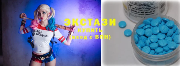 сатива Верея