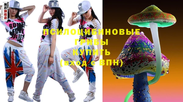 шишки Волосово