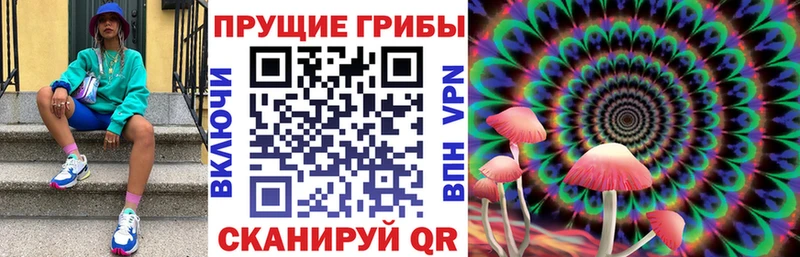 Псилоцибиновые грибы Magic Shrooms  Томилино 